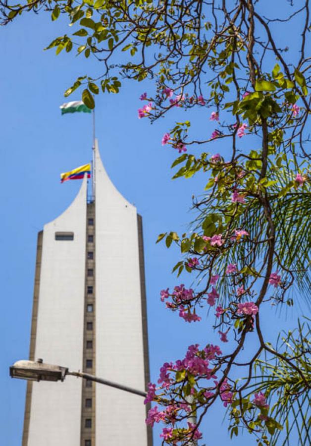 Guayacanes, Medellin, Antioquia, Colombia