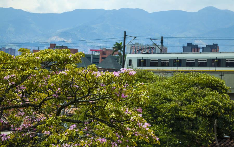 Guayacanes, Medellin, Antioquia, Colombia