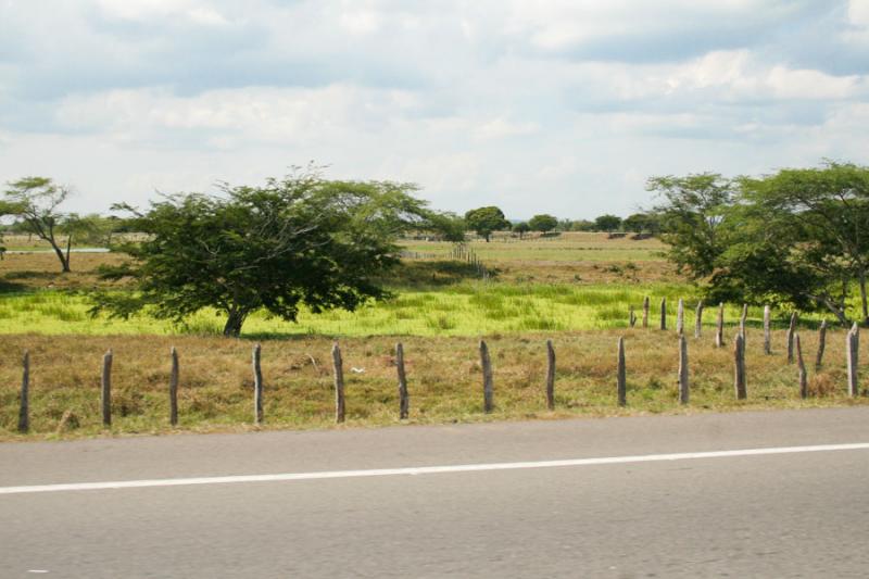 Vegetacion el la Carretera a la Costa, Santa Marta...