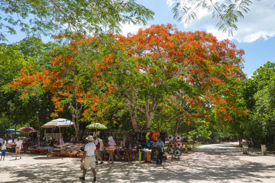 Cancun, Quintana Roo, Mexico