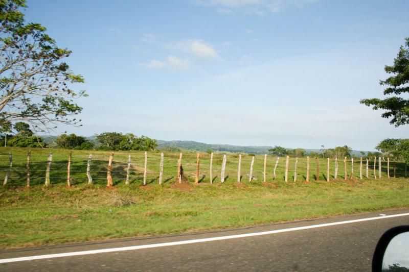 Vegetacion el la Carretera a la Costa, Santa Marta...