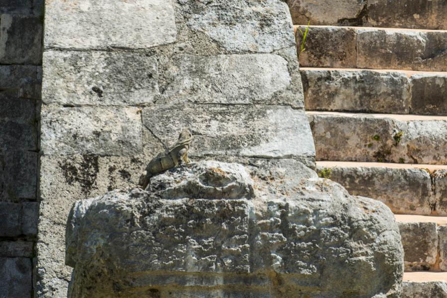 Chichen itza, Tinum, Yucatan, Mexico