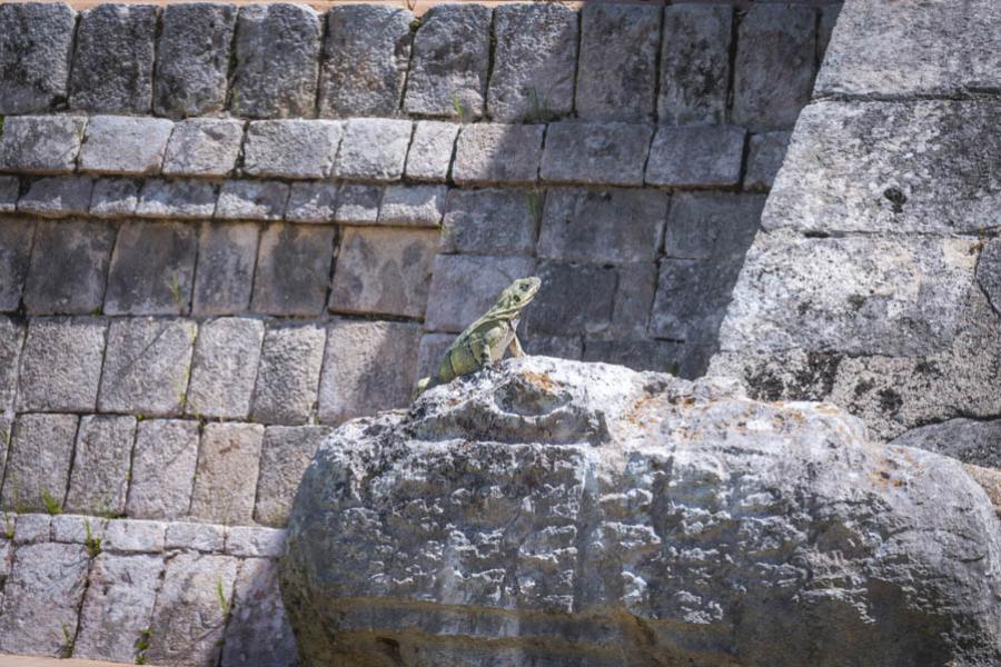 Chichen itza, Tinum, Yucatan, Mexico