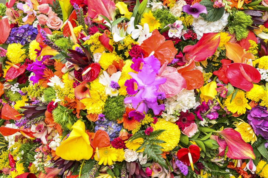 Desfile de Silleteros, Feria de las Flores