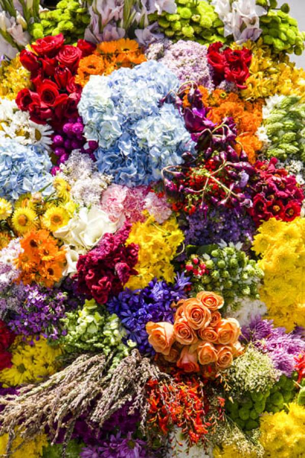 Flores de Colores