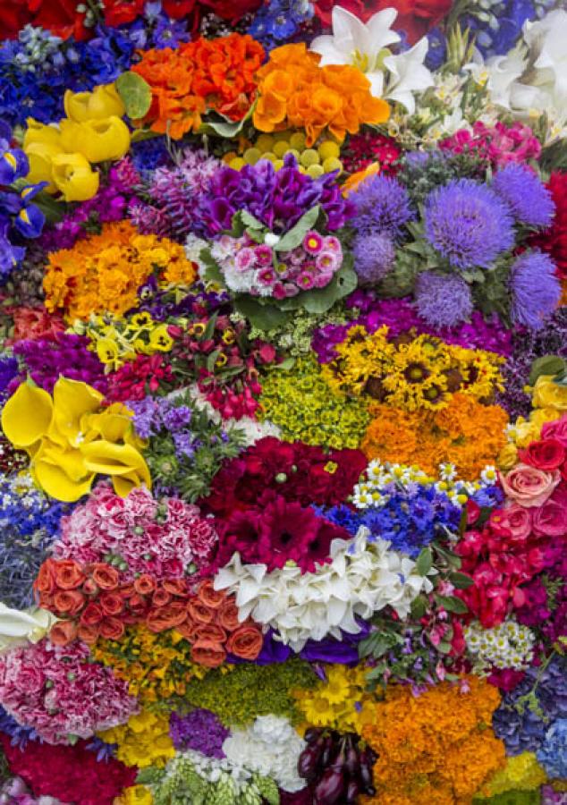 Desfile de Silleteros, Feria de las Flores