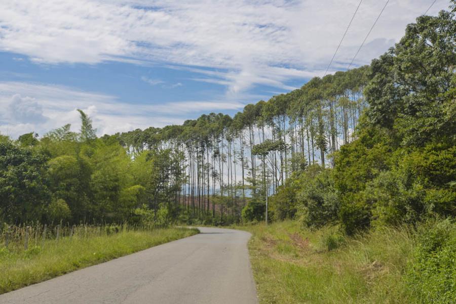 Via Caldono-Mondomo, Valle Del Cauca, Colombia