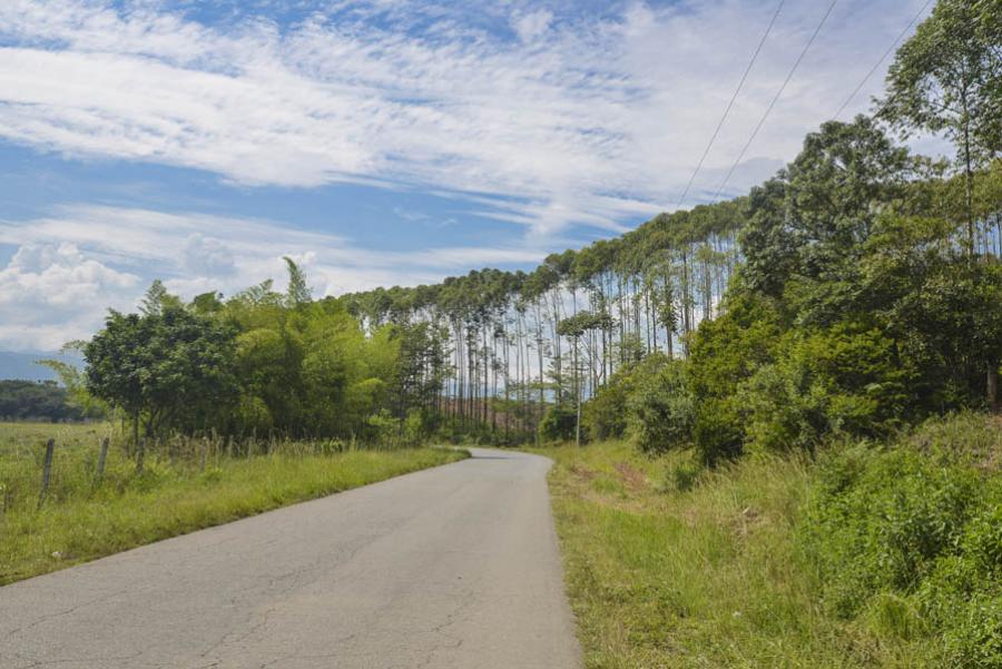 Via Caldono-Mondomo, Valle Del Cauca, Colombia