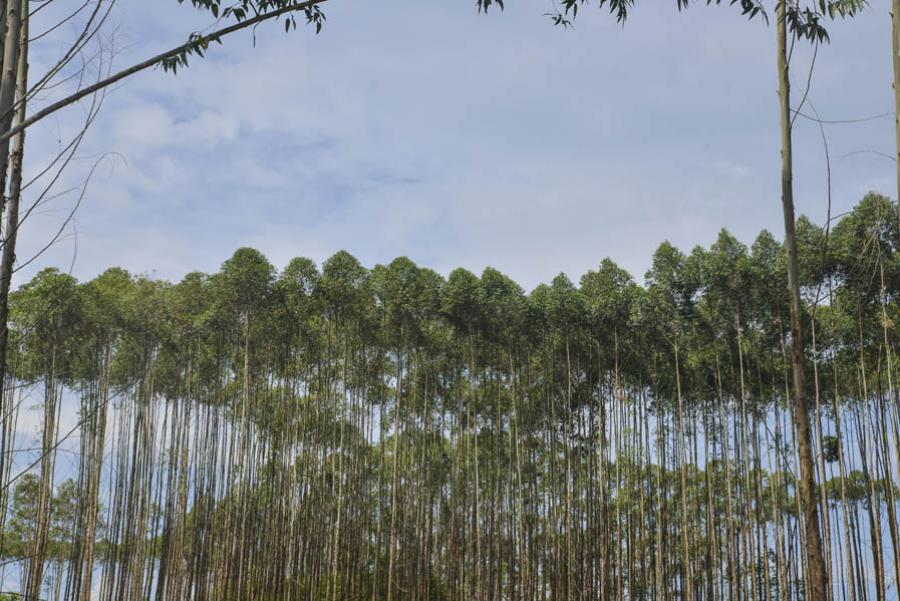 Via Caldono-Mondomo, Valle Del Cauca, Colombia