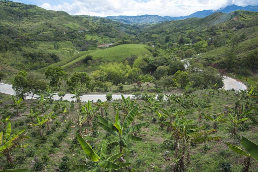 Road La Sierra-Las Rosas, Cauca, Colombia