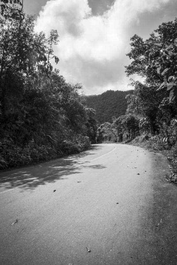 Via El Queremal- Buenaventura, Valle Del Cauca, Co...