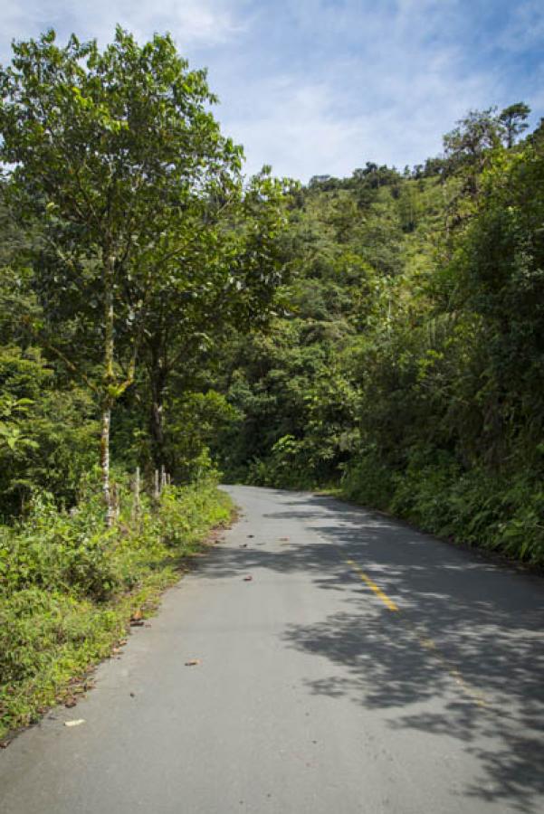 Via El Queremal- Buenaventura, Valle Del Cauca, Co...