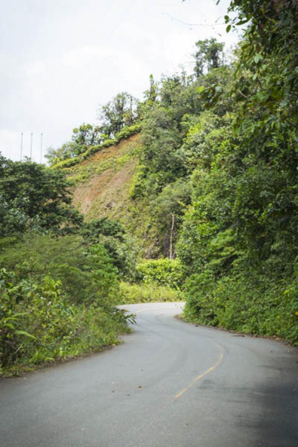 Via El Queremal- Buenaventura, Valle Del Cauca, Co...