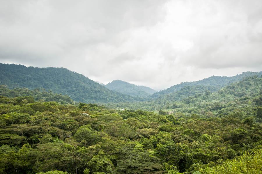 Via Mumbu Tado, Choco, Colombia