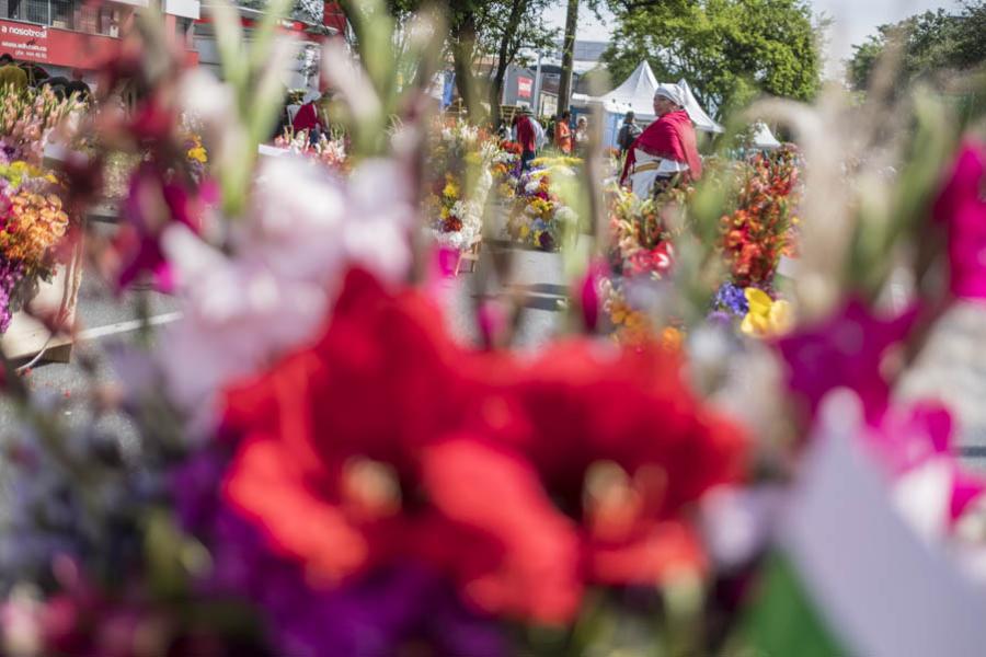 Desfile de Silleteros, Feria de las Flores, Medell...