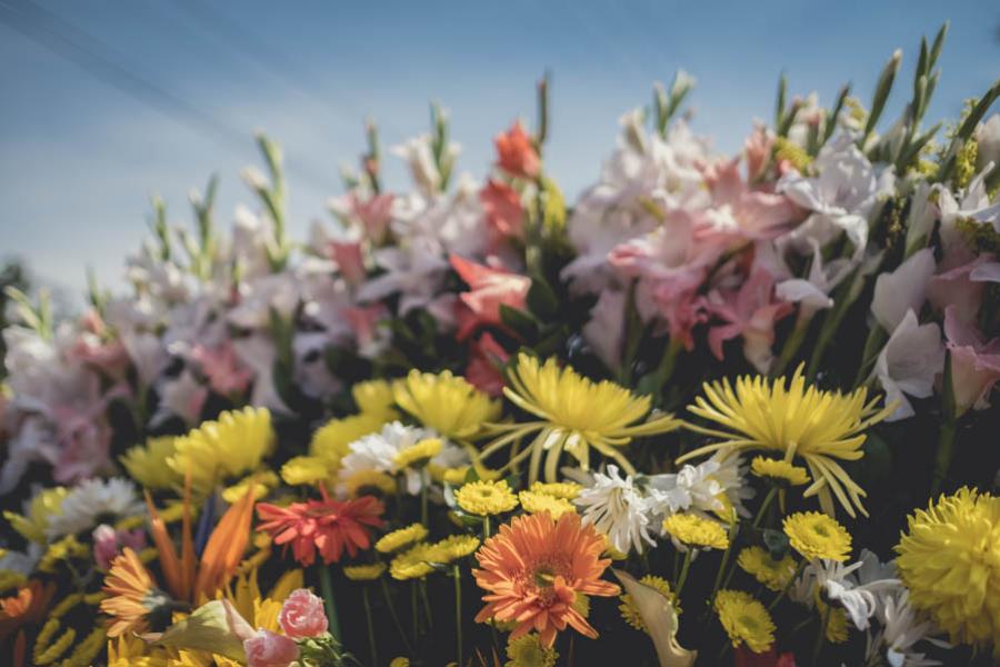 Desfile de Silleteros, Feria de las Flores, Medell...