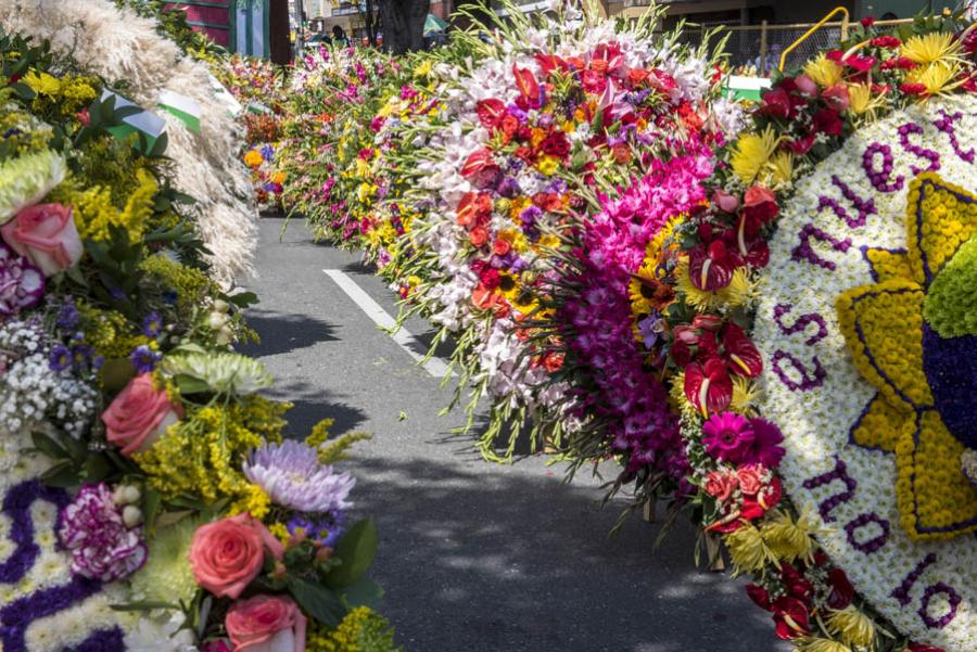 Desfile de Silleteros, Feria de las Flores, Medell...