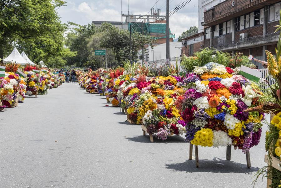 Desfile de Silleteros, Feria de las Flores, Medell...