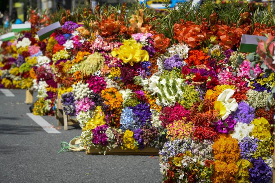 Desfile de Silleteros, Feria de las Flores, Medell...