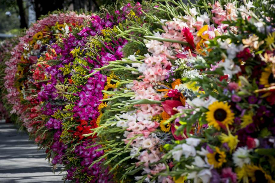 Desfile de Silleteros, Feria de las Flores, Medell...