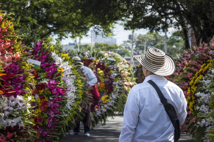 Desfile de Silleteros, Feria de las Flores, Medell...