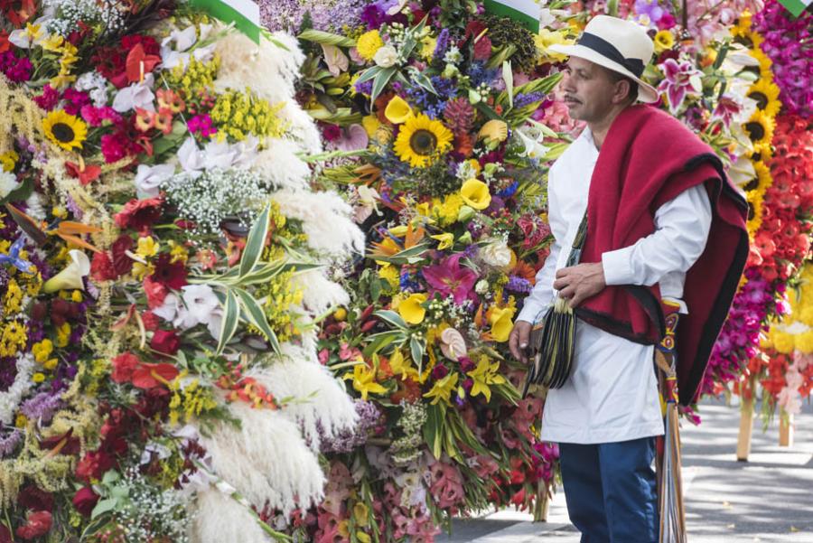 Silletero, Feria De Flores, Medellin, Antioquia, C...