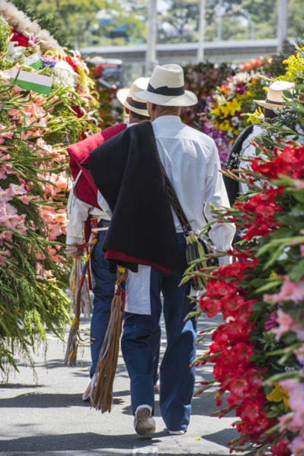 Silletero, Feria De Flores, Medellin, Antioquia, C...