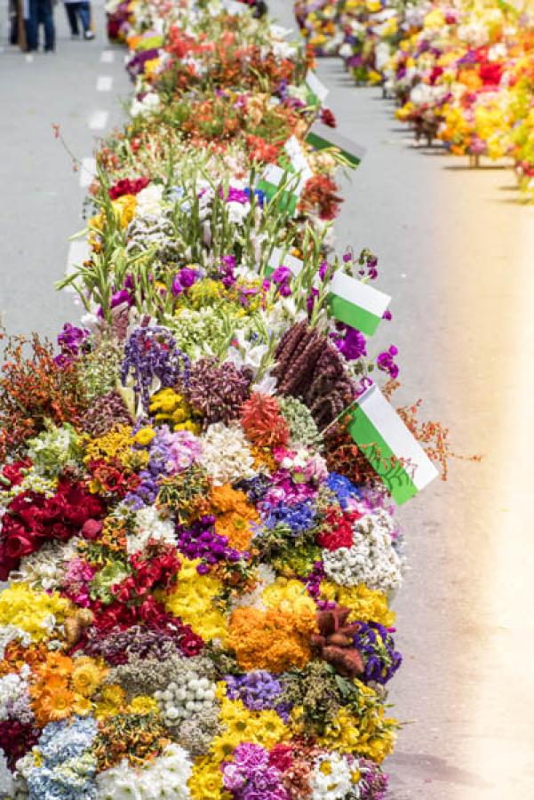 Desfile de Silleteros, Feria de las Flores, Medell...