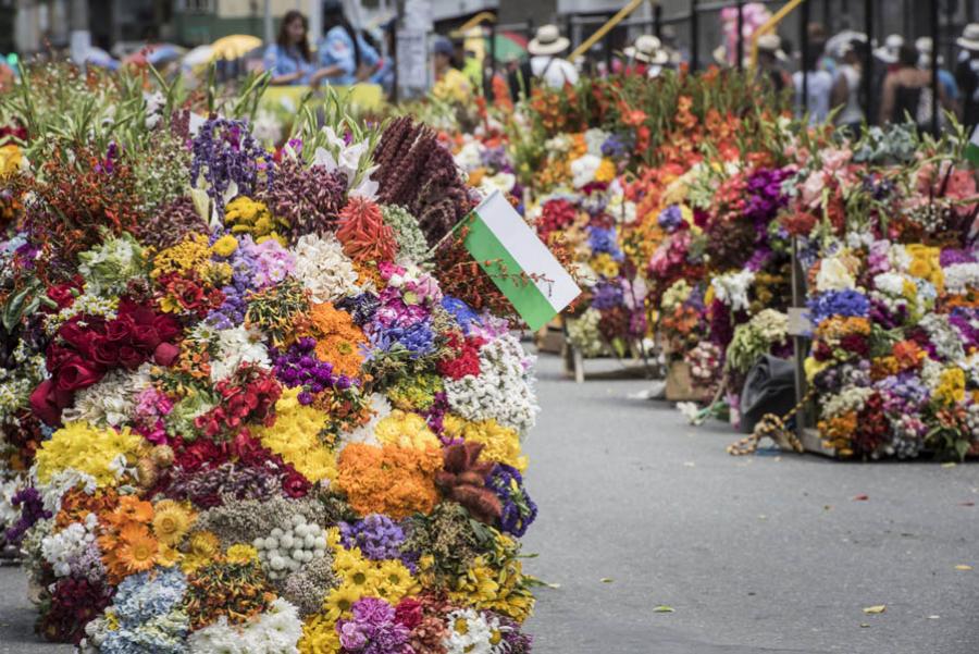 Desfile de Silleteros, Feria de las Flores, Medell...