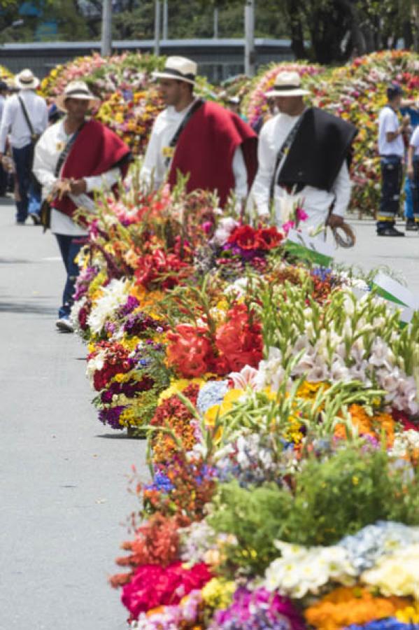 Desfile de Silleteros, Feria de las Flores, Medell...