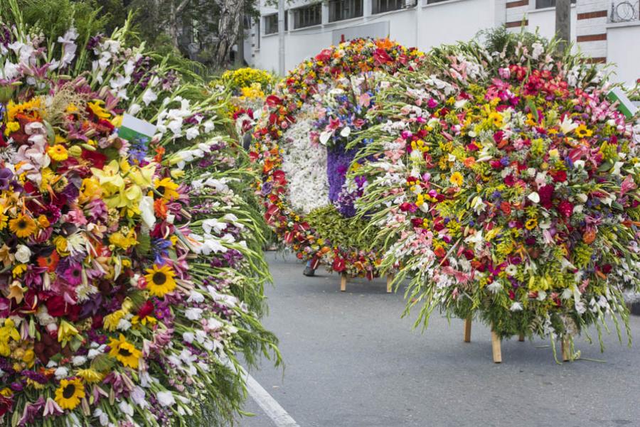 Desfile de Silleteros, Feria de las Flores, Medell...