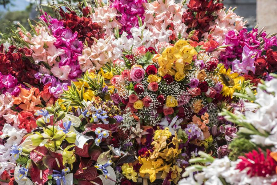 Desfile de Silleteros, Feria de las Flores, Medell...