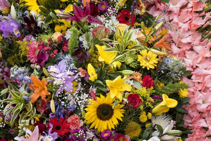 Desfile de Silleteros, Feria de las Flores, Medell...