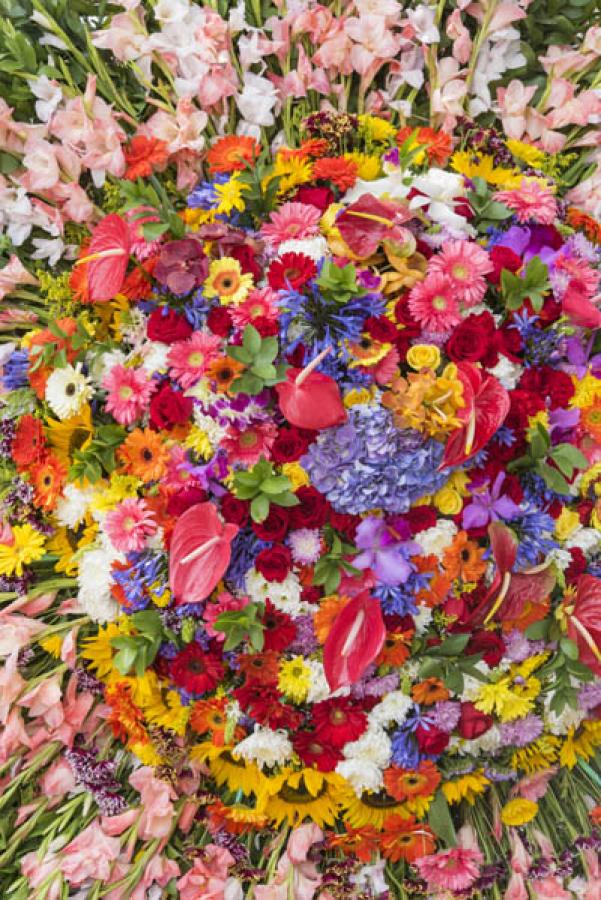 Desfile de Silleteros, Feria de las Flores, Medell...