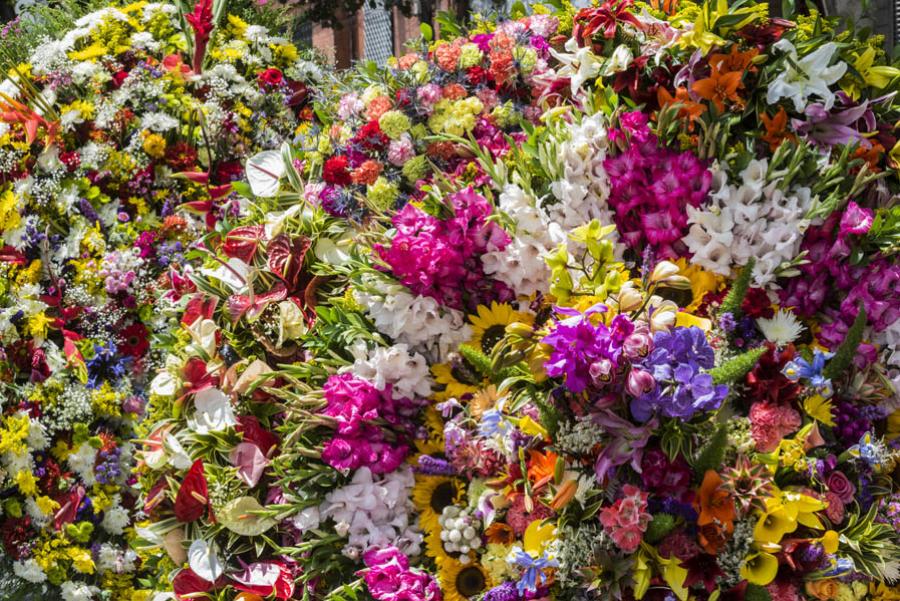 Desfile de Silleteros, Feria de las Flores, Medell...