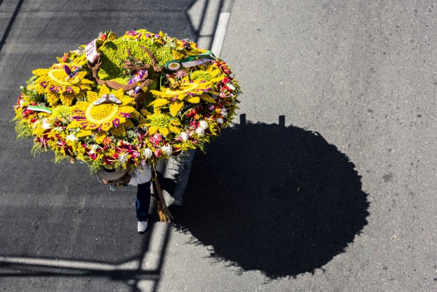 Desfile de Silleteros, Feria de las Flores, Medell...