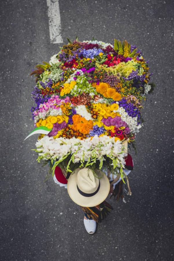 Desfile de Silleteros, Feria de las Flores, Medell...