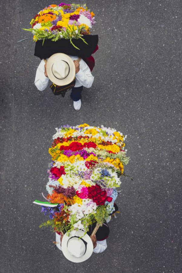 Desfile de Silleteros, Feria de las Flores, Medell...