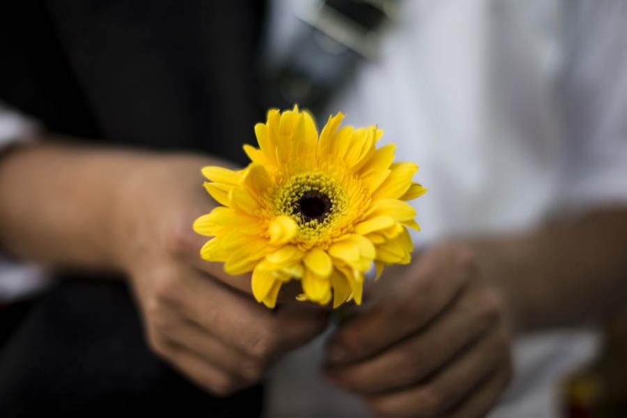 Detalle De Una Flor