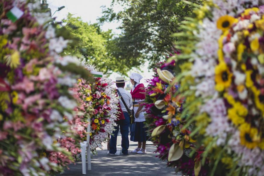 Desfile de Silleteros, Feria de las Flores, Medell...