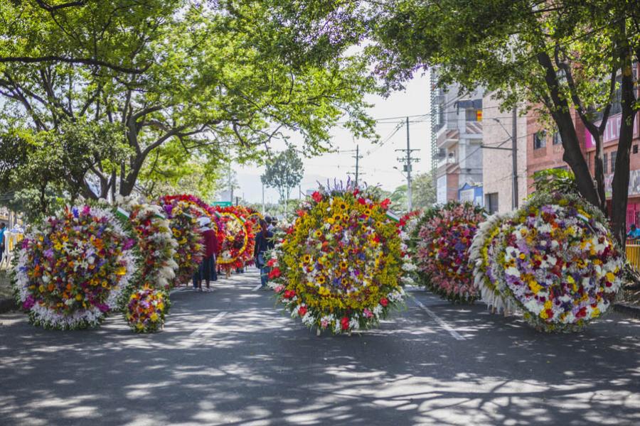 Desfile de Silleteros, Feria de las Flores, Medell...