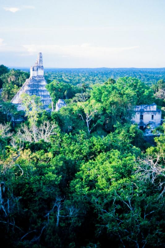 Ruinas de los Templos Mayas de Tikal, Guatemala, H...