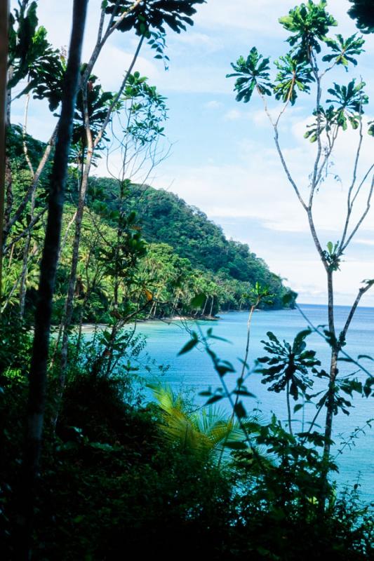 Paisaje del Pacifico, Parque Nacional Natural Isla...