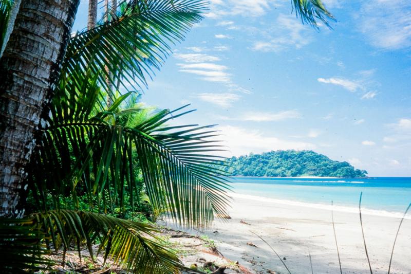 Playa Palmeras, Isla de Gorgonilla, Parque Naciona...