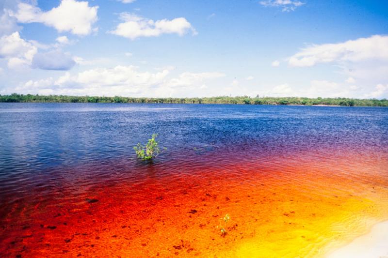 Rio Atabapo, Frontera Colombo-Venezolana, Guainia,...