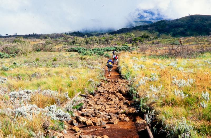 Sendero del Monte Kilimanjaro, Tanzania, Dodoma, A...