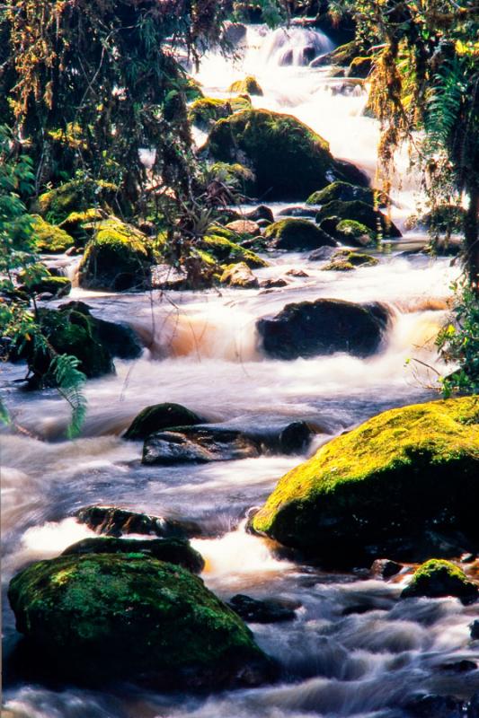 Rio Magdalena, Parque Nacional Natural Purace, Hui...