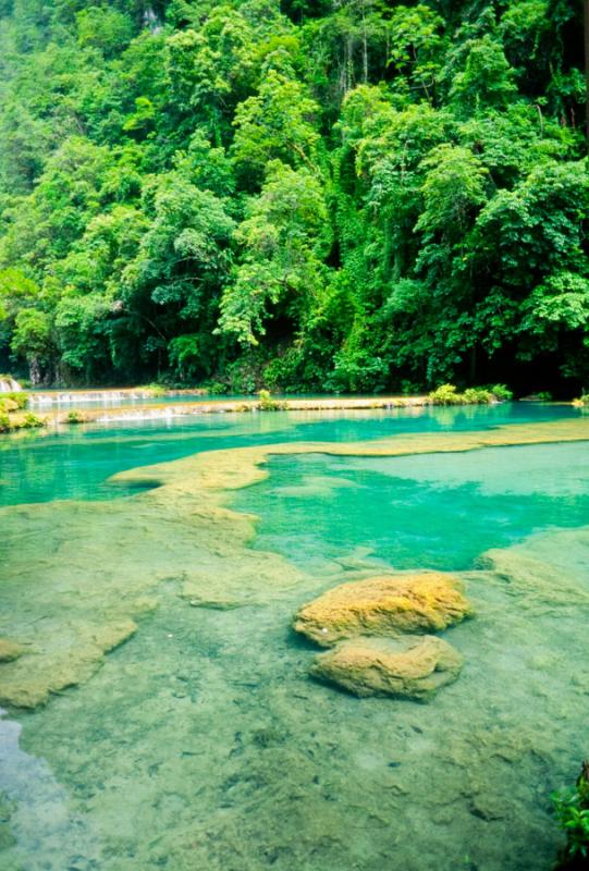 Monumento Natural Semuc Champey, Lankin, Alta Vera...