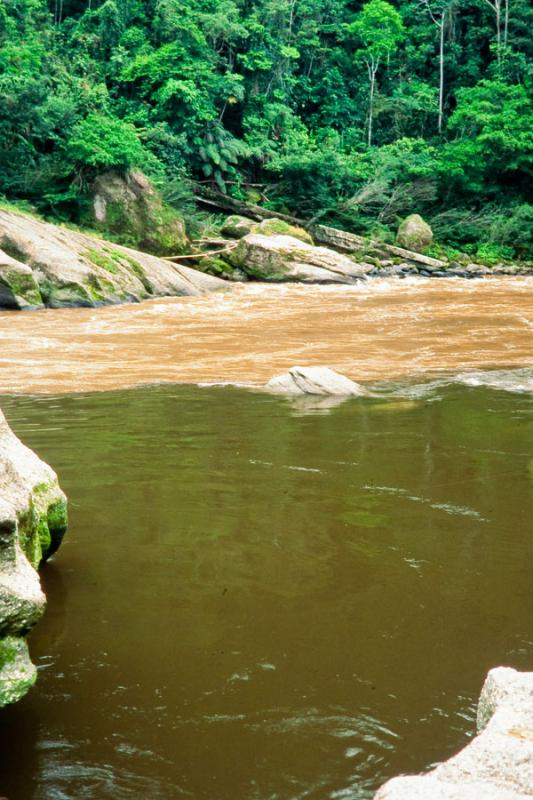 Rio Mandiyaco, Afluente del Rio Caqueta, Putumayo,...