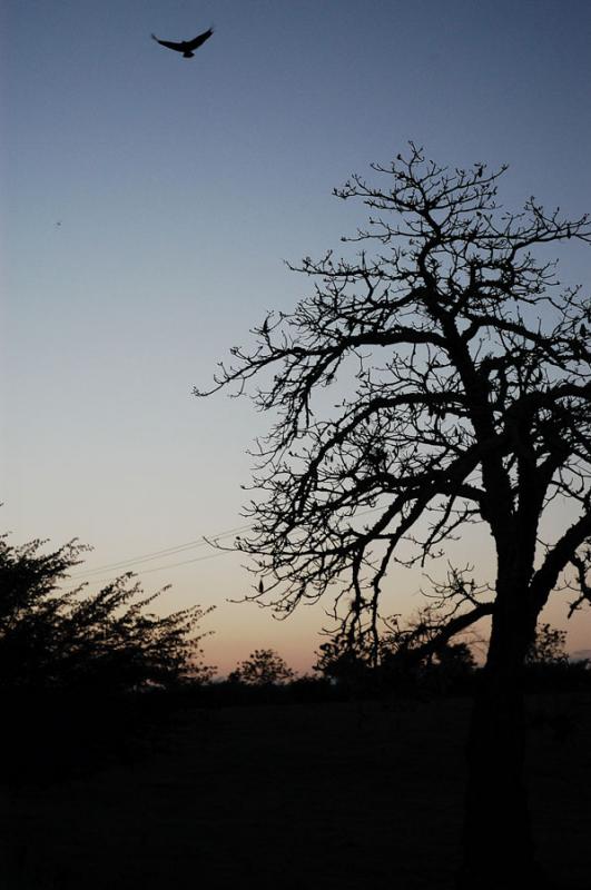 Atardecer en el campo